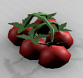 Tomato.png