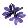 ItemFlowerBlue.png